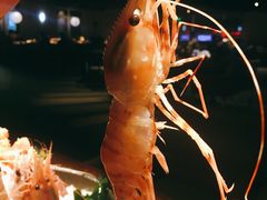 北海道野生牡丹虾-荣新馆(3号店)