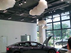 -TESLA 特斯拉(深圳观澜特斯拉直营钣喷中心)