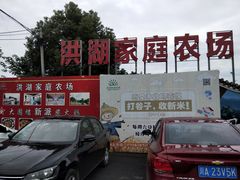 -洪湖家庭农场·团建·露营·会议