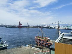 -大阪海游馆