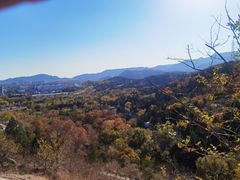 -白水寺森林公园