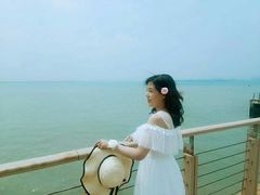 -东疆建设开发纪念公园