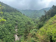 -木兰云雾山