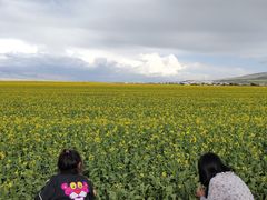 -青海湖国家重点风景名胜区