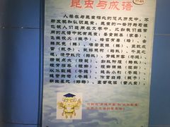 -上海昆虫博物馆