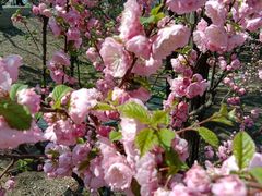 -长辛店二七公园