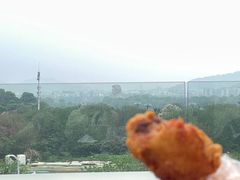 -阿捡忭京炸鸡(长沙韭菜园总店)