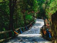 -九皇山景区