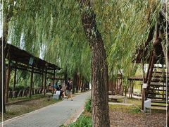 -河北村民俗体验园