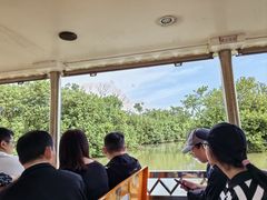 -大湾区中央湿地公园