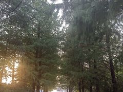 -苏州东太湖生态园