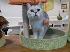 -小时光咖啡馆(北锣鼓巷店)