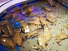 -澜悦港海鲜体验主题餐厅
