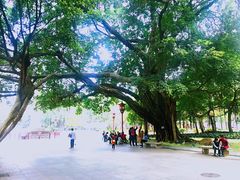 -广州中山纪念堂