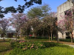 -深圳国际园林花卉博览园