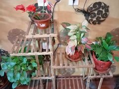 -弘善堂推拿调理