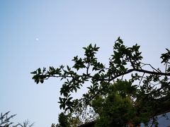 -那家山城(樱桃园店)