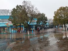 -海合安武汉极地海洋公园