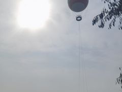 -东湖磨山景区樱花园-停车场