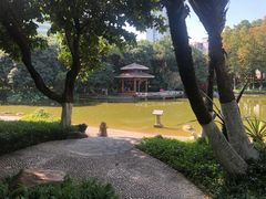 -黄埔荔枝公园