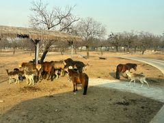 -西安秦岭野生动物园