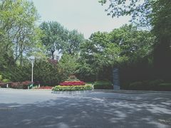 -棒棰岛宾馆景区
