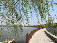 -天津东丽湖风景区