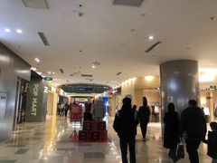 -鹏欣水游城