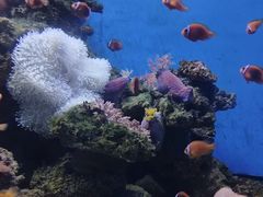 -多彩贵州城极地海洋世界