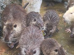 -海南热带野生动植物园
