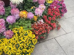 -虎丘山风景名胜区