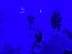 -石林冰雪海洋世界