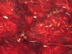 -小牛海记潮汕牛肉店(永定路店)