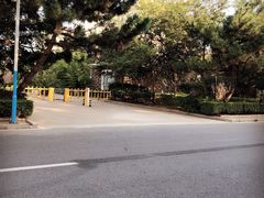 -日照海滨国家森林公园