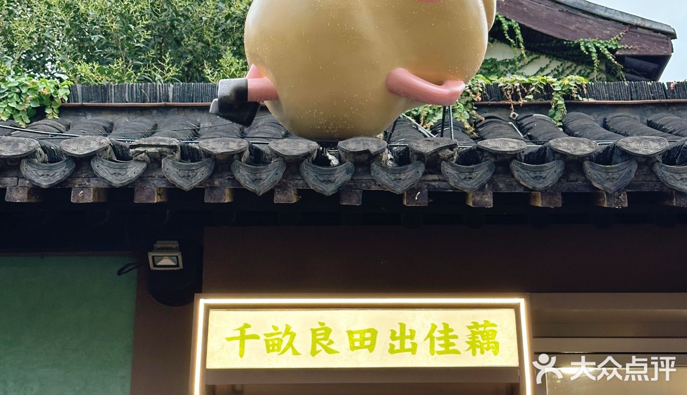 🪷藕韵｜漫过青石板，让整个园子都沉醉荷香