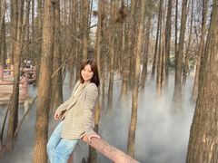 -东湖落雁景区