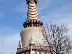 -张掖大佛寺景区