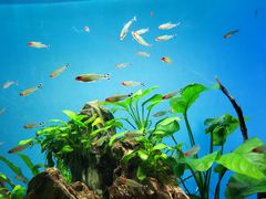 -太平洋海底世界