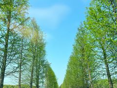 -梁鸿国家湿地公园