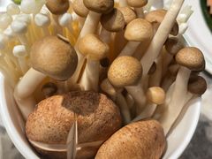 -禄婶鸡煲·打边炉