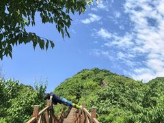 -大岭沟猕猴桃谷风景区