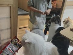 -小时光咖啡馆(开森度假森林店)