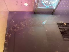 -海韵之星邮轮水会(明发商业广场店)