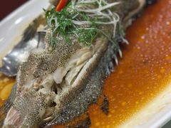 -东海海鲜酒家(中信广场店)