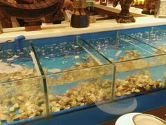 -火舞泰·泰式海鲜火锅餐厅(世纪城店)