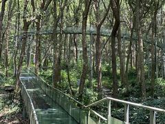 -富春桃源风景区