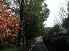 -张公山寨景区