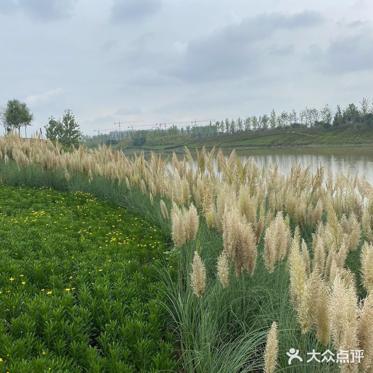沣河梁家滩湿地公园