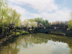 -自然谷恐龙园