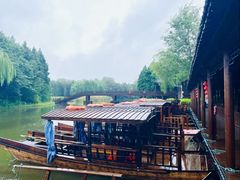 -溱湖国家湿地公园